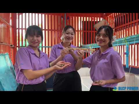หอยหวานจากทะเล...สู่จาน!